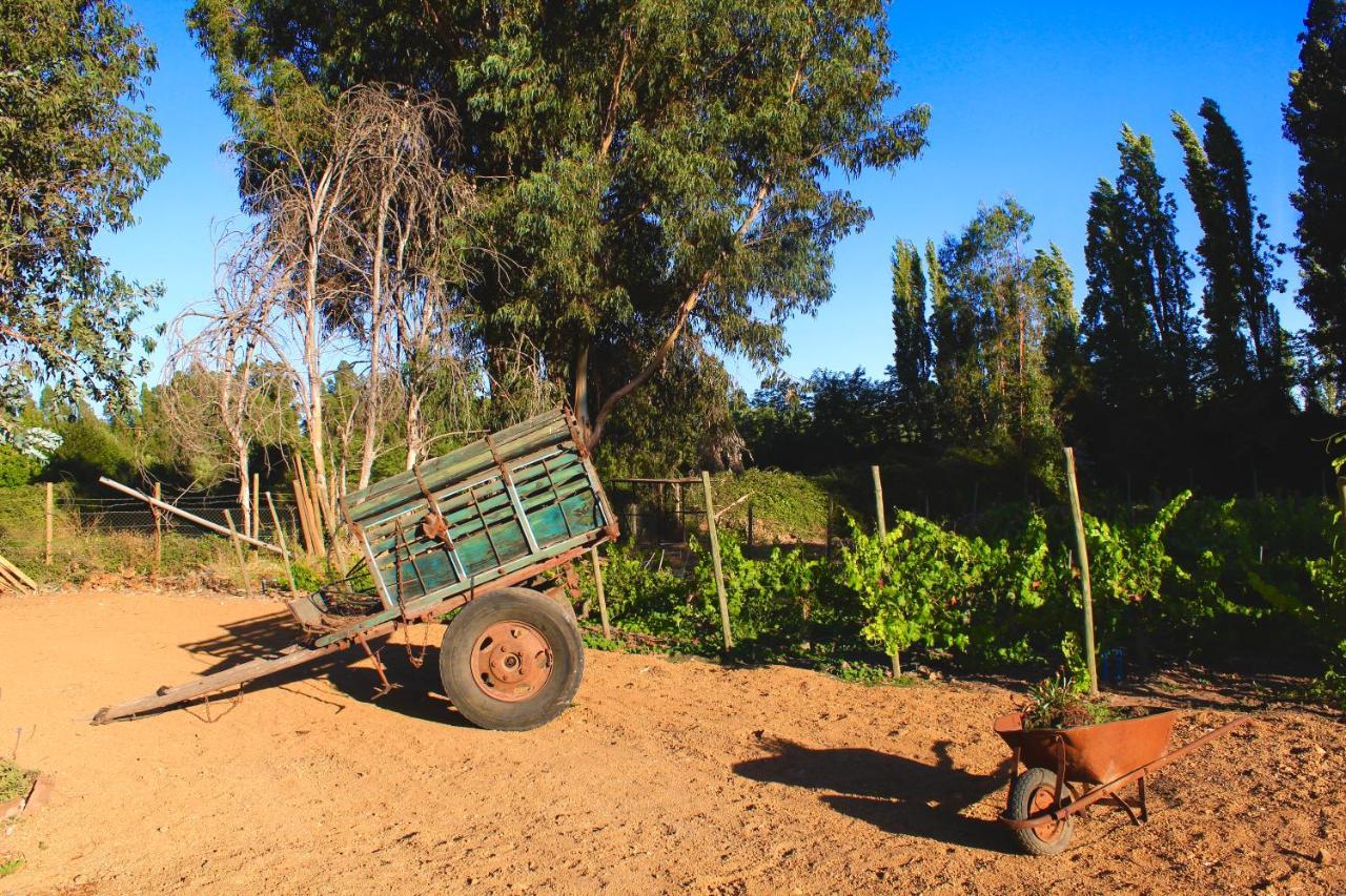 Hotel Boutique Raices De Colchagua Santa Cruz Kültér fotó