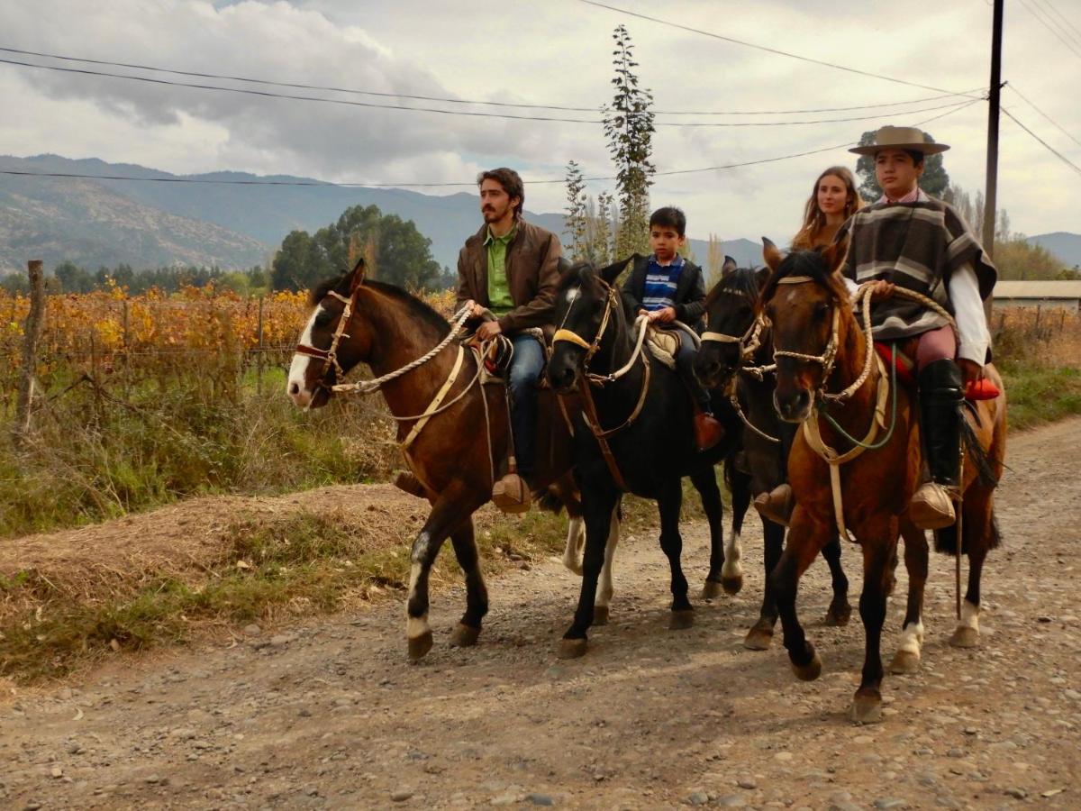 Hotel Boutique Raices De Colchagua Santa Cruz Kültér fotó