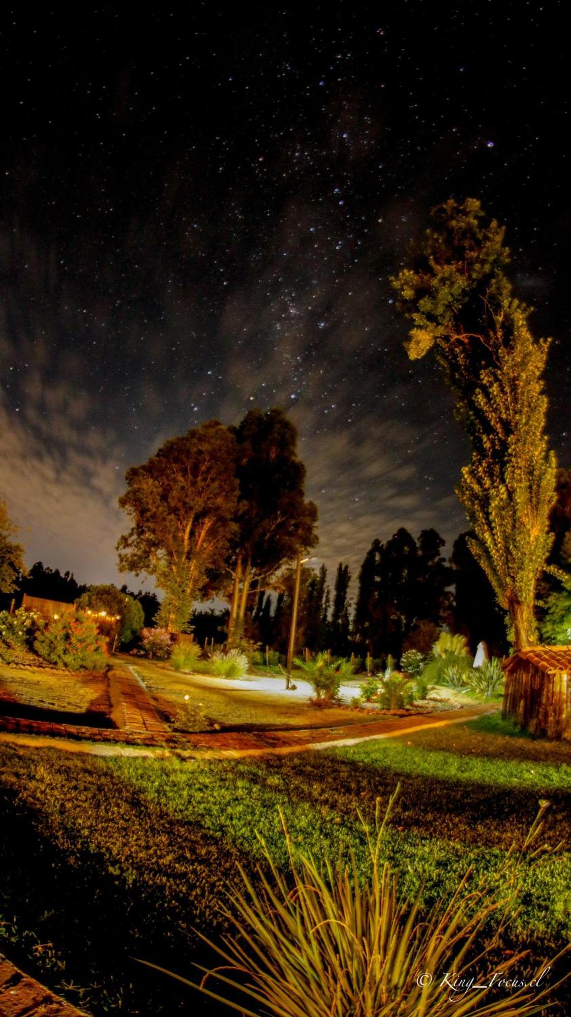 Hotel Boutique Raices De Colchagua Santa Cruz Kültér fotó